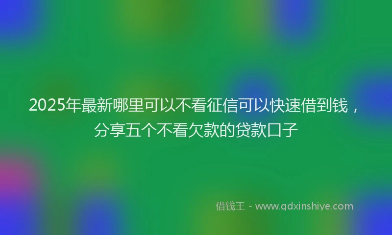 2025年最新哪里可以不看征信可以快速借到钱，分享五个不看欠款的贷款口子