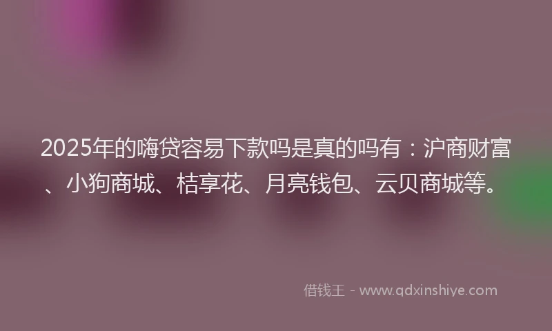 2025年的嗨贷容易下款吗是真的吗有：沪商财富、小狗商城、桔享花、月亮钱包、云贝商城等。