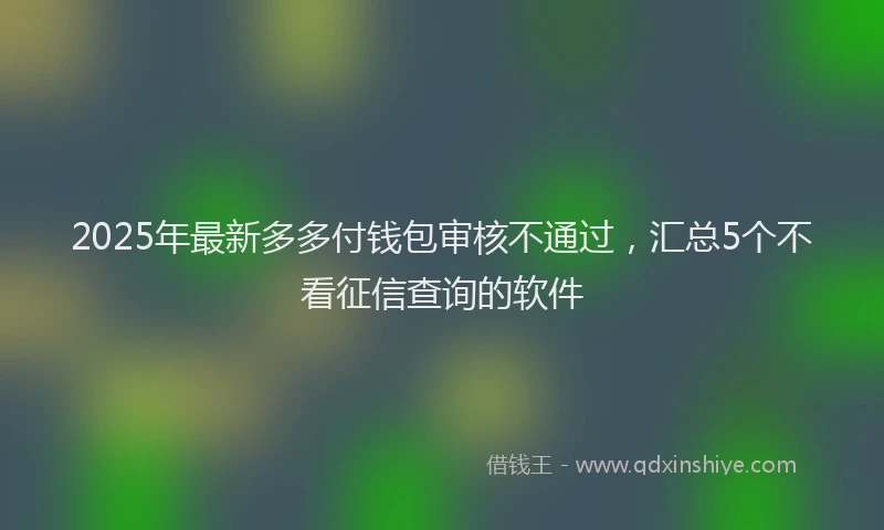 2025年最新多多付钱包审核不通过，汇总5个不看征信查询的软件