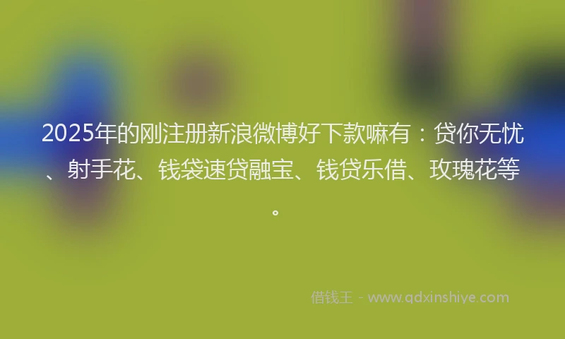2025年的刚注册新浪微博好下款嘛有：贷你无忧、射手花、钱袋速贷融宝、钱贷乐借、玫瑰花等。
