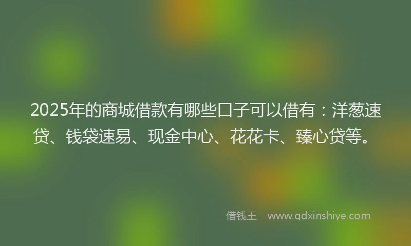 2025年的商城借款有哪些口子可以借有：洋葱速贷、钱袋速易、现金中心、花花卡、臻心贷等。