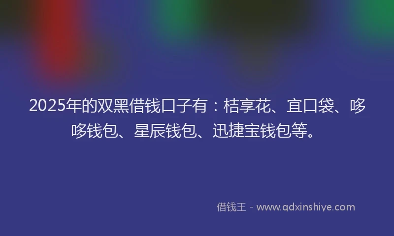 2025年的双黑借钱口子有：桔享花、宜口袋、哆哆钱包、星辰钱包、迅捷宝钱包等。