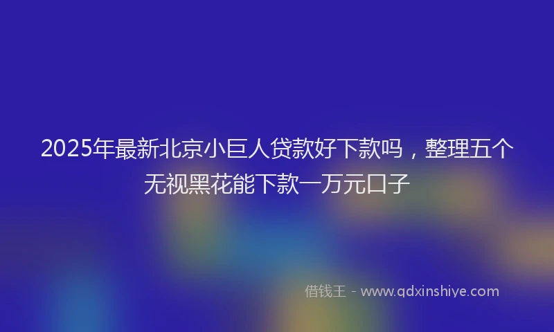 2025年最新北京小巨人贷款好下款吗，整理五个无视黑花能下款一万元口子