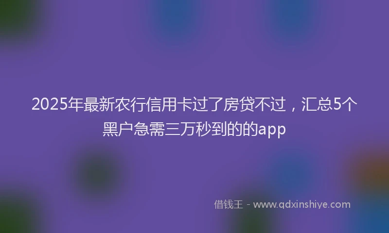 2025年最新农行信用卡过了房贷不过，汇总5个黑户急需三万秒到的的app