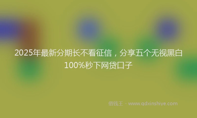 2025年最新分期长不看征信，分享五个无视黑白100%秒下网贷口子