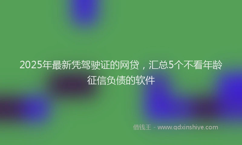 2025年最新凭驾驶证的网贷，汇总5个不看年龄征信负债的软件