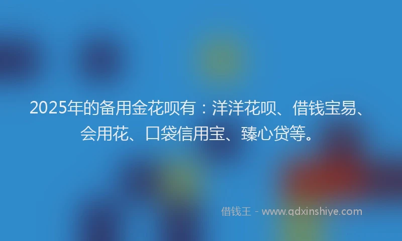 2025年的备用金花呗有：洋洋花呗、借钱宝易、会用花、口袋信用宝、臻心贷等。
