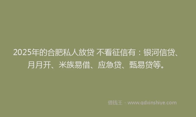 2025年的合肥私人放贷 不看征信有：银河信贷、月月开、米族易借、应急贷、甄易贷等。