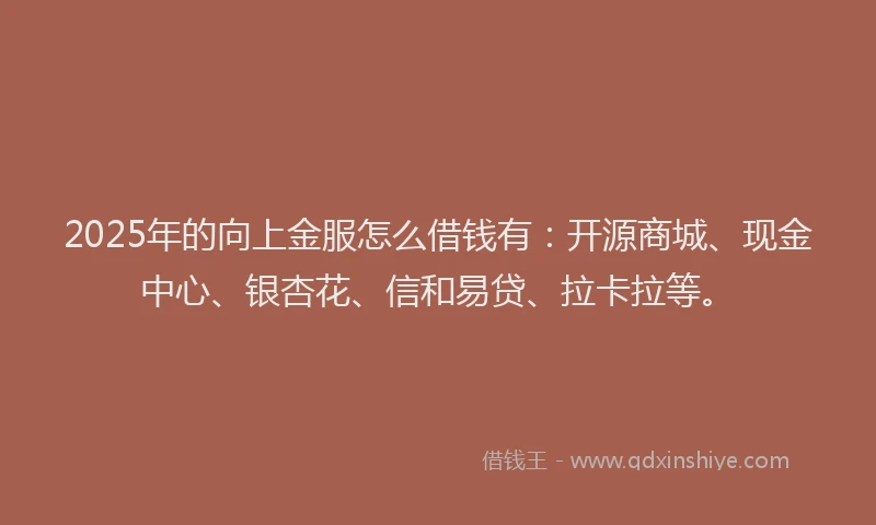 2025年的向上金服怎么借钱有：开源商城、现金中心、银杏花、信和易贷、拉卡拉等。