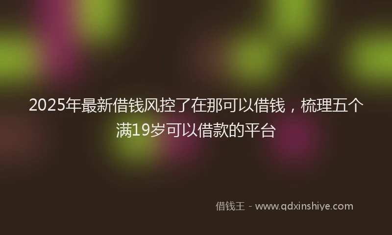 2025年最新借钱风控了在那可以借钱，梳理五个满19岁可以借款的平台