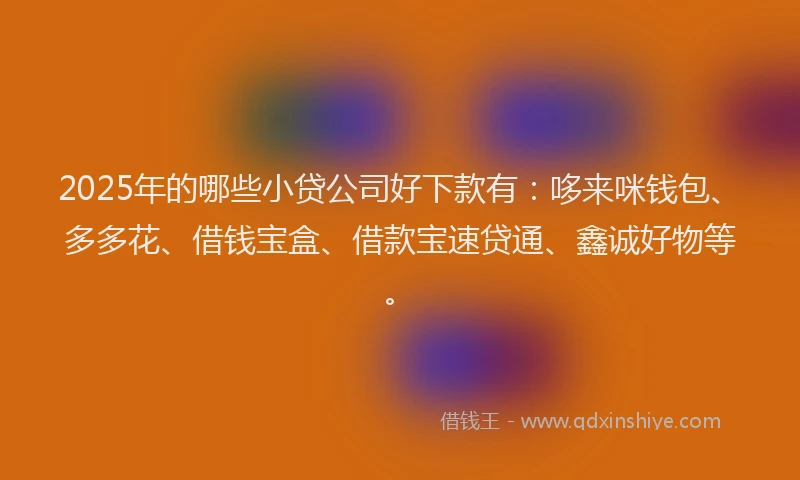 2025年的哪些小贷公司好下款有：哆来咪钱包、多多花、借钱宝盒、借款宝速贷通、鑫诚好物等。