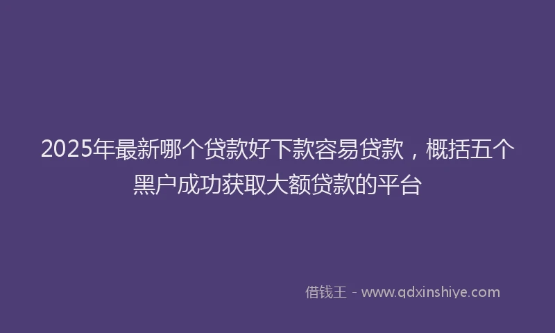 2025年最新哪个贷款好下款容易贷款，概括五个黑户成功获取大额贷款的平台