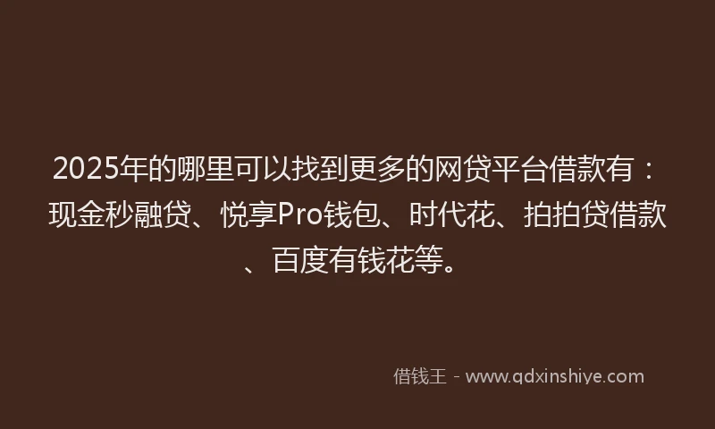 2025年的哪里可以找到更多的网贷平台借款有：现金秒融贷、悦享Pro钱包、时代花、拍拍贷借款、百度有钱花等。