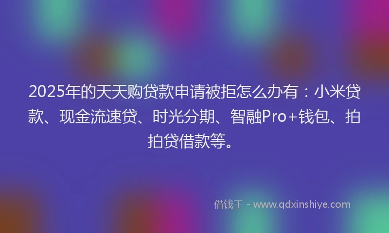 2025年的天天购贷款申请被拒怎么办有：小米贷款、现金流速贷、时光分期、智融Pro+钱包、拍拍贷借款等。