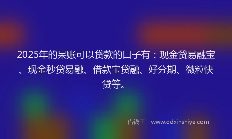 2025年的呆账可以贷款的口子有：现金贷易融宝、现金秒贷易融、借款宝贷融、好分期、微粒快贷等。