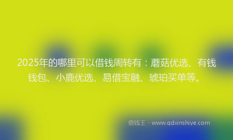 2025年的哪里可以借钱周转有：蘑菇优选、有钱钱包、小鹿优选、易借宝融、琥珀买单等。