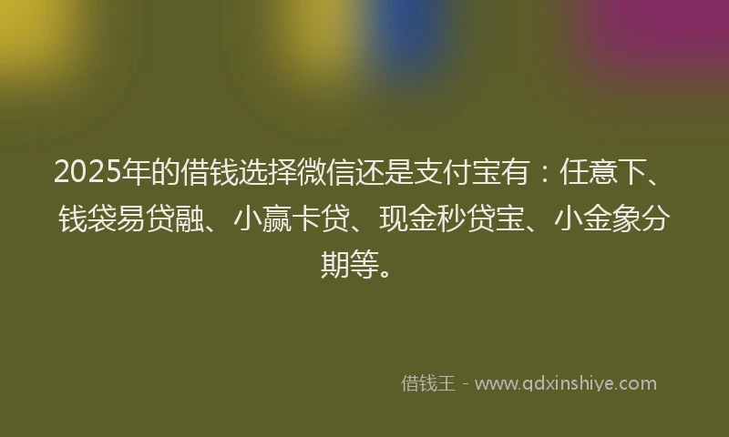 2025年的借钱选择微信还是支付宝有：任意下、钱袋易贷融、小赢卡贷、现金秒贷宝、小金象分期等。
