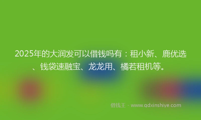 2025年的大润发可以借钱吗有：租小新、鹿优选、钱袋速融宝、龙龙用、橘若租机等。