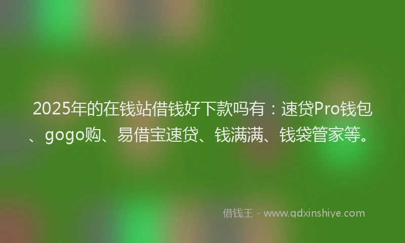 2025年的在钱站借钱好下款吗有：速贷Pro钱包、gogo购、易借宝速贷、钱满满、钱袋管家等。