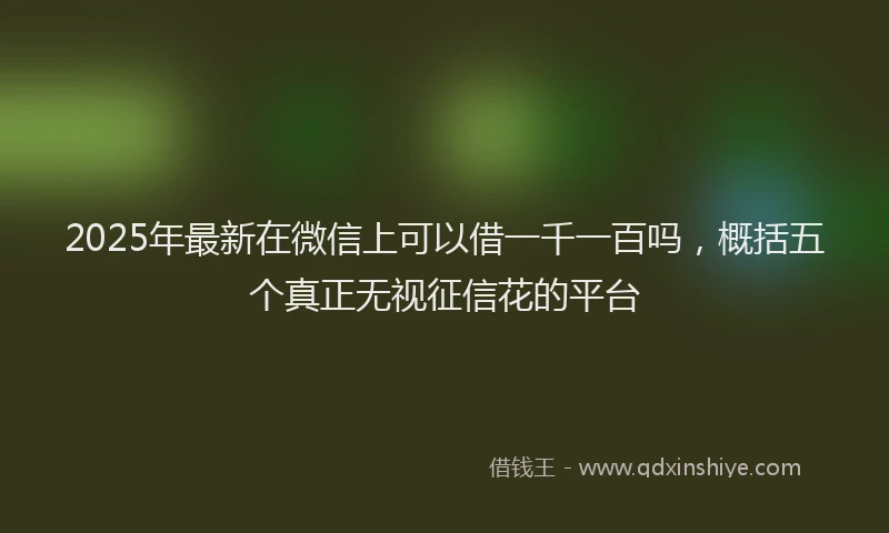 2025年最新在微信上可以借一千一百吗，概括五个真正无视征信花的平台