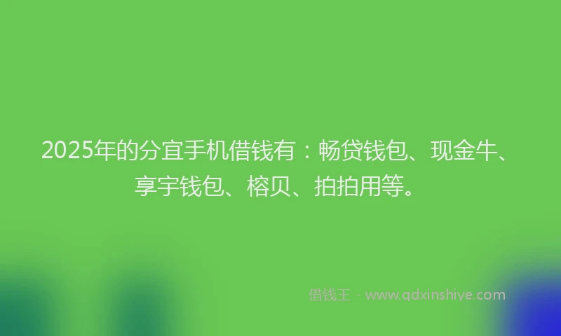 2025年的分宜手机借钱有：畅贷钱包、现金牛、享宇钱包、榕贝、拍拍用等。