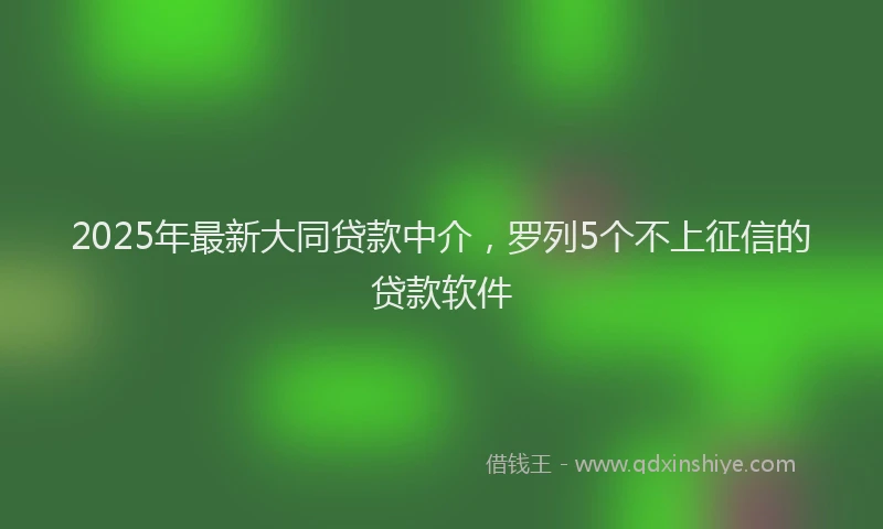 2025年最新大同贷款中介，罗列5个不上征信的贷款软件