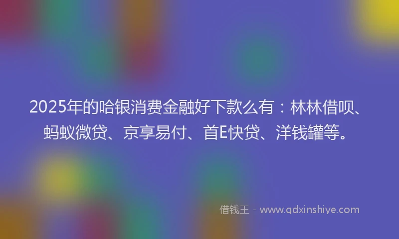 2025年的哈银消费金融好下款么有：林林借呗、蚂蚁微贷、京享易付、首E快贷、洋钱罐等。