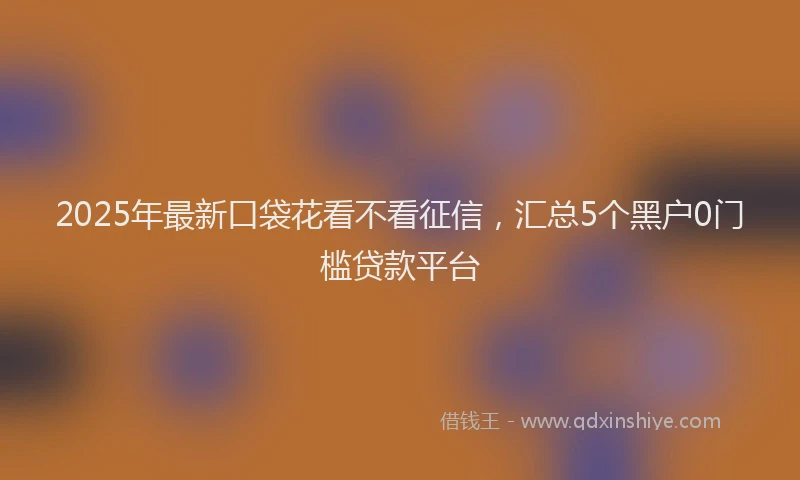 2025年最新口袋花看不看征信，汇总5个黑户0门槛贷款平台
