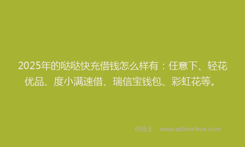 2025年的哒哒快充借钱怎么样有：任意下、轻花优品、度小满速借、瑞信宝钱包、彩虹花等。