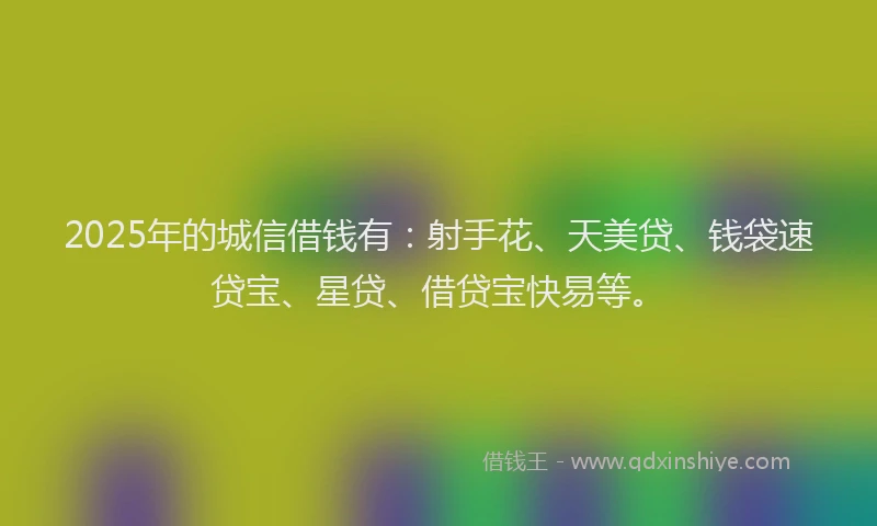 2025年的城信借钱有：射手花、天美贷、钱袋速贷宝、星贷、借贷宝快易等。