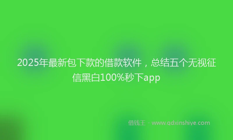 2025年最新包下款的借款软件，总结五个无视征信黑白100%秒下app