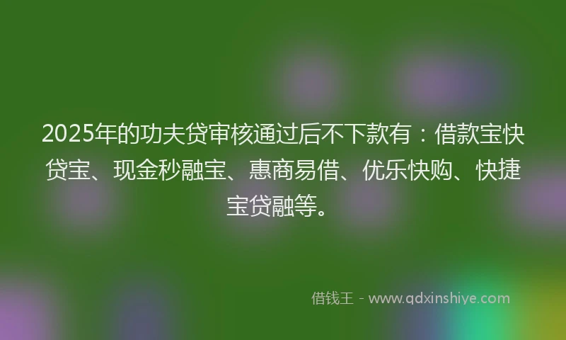 2025年的功夫贷审核通过后不下款有：借款宝快贷宝、现金秒融宝、惠商易借、优乐快购、快捷宝贷融等。
