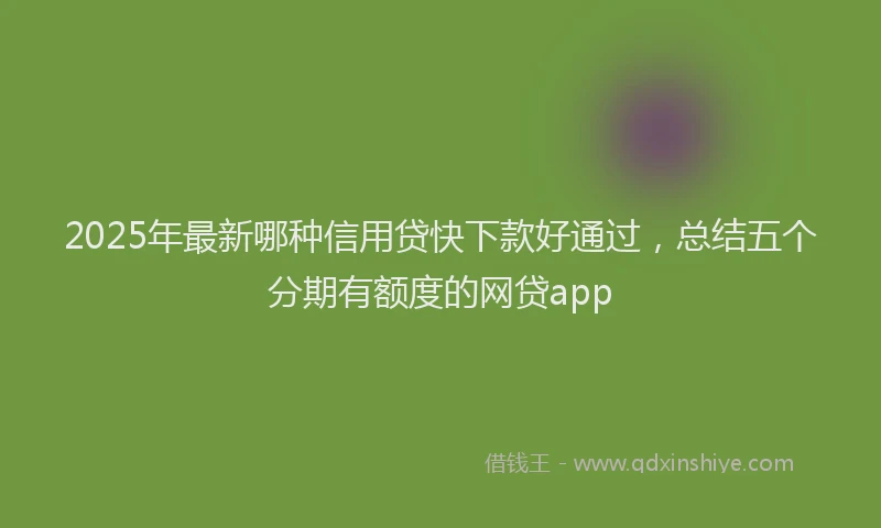 2025年最新哪种信用贷快下款好通过，总结五个分期有额度的网贷app
