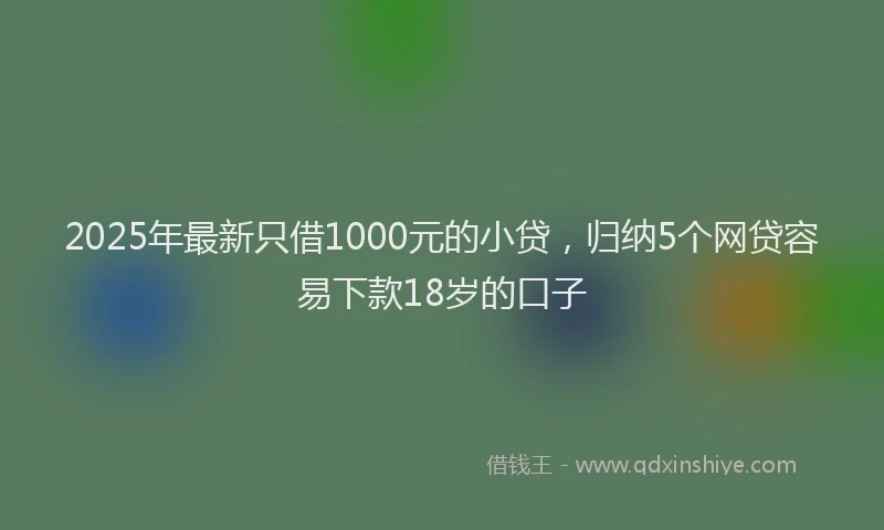 2025年最新只借1000元的小贷，归纳5个网贷容易下款18岁的口子