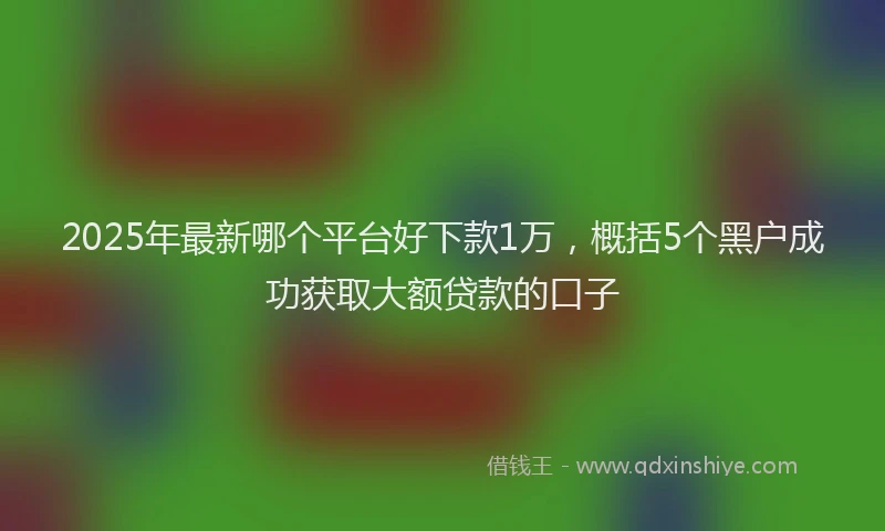 2025年最新哪个平台好下款1万，概括5个黑户成功获取大额贷款的口子