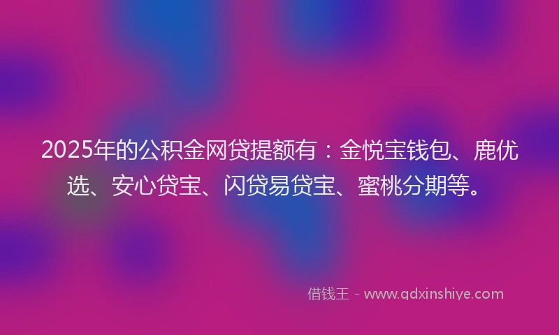 2025年的公积金网贷提额有：金悦宝钱包、鹿优选、安心贷宝、闪贷易贷宝、蜜桃分期等。