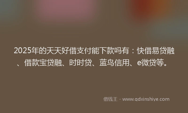 2025年的天天好借支付能下款吗有：快借易贷融、借款宝贷融、时时贷、蓝鸟信用、e微贷等。