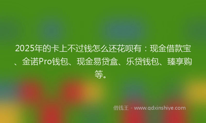 2025年的卡上不过钱怎么还花呗有：现金借款宝、金诺Pro钱包、现金易贷盒、乐贷钱包、臻享购等。