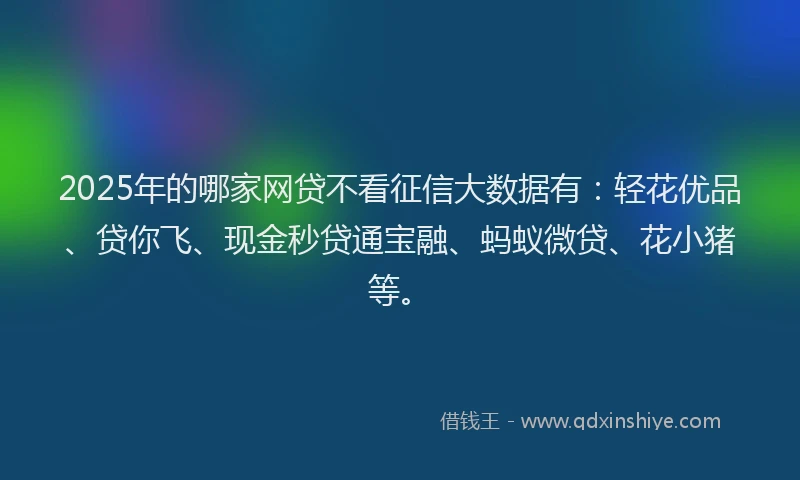 2025年的哪家网贷不看征信大数据有：轻花优品、贷你飞、现金秒贷通宝融、蚂蚁微贷、花小猪等。