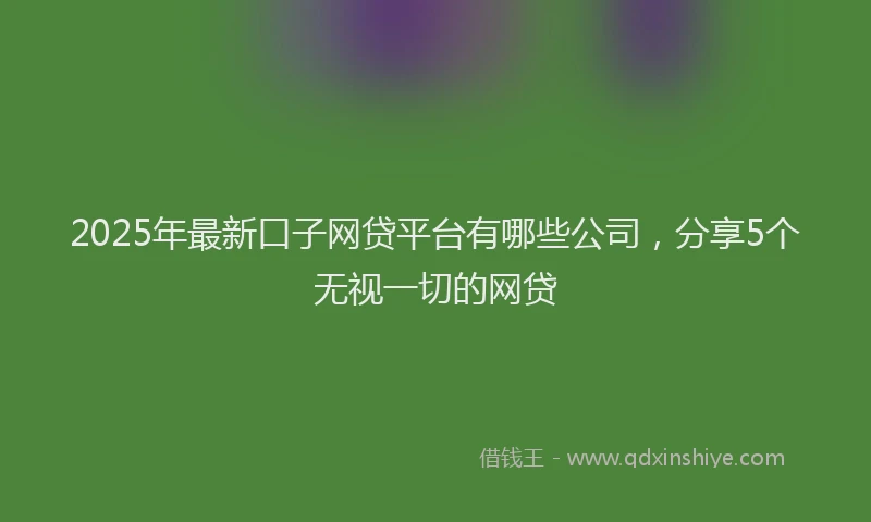 2025年最新口子网贷平台有哪些公司，分享5个无视一切的网贷