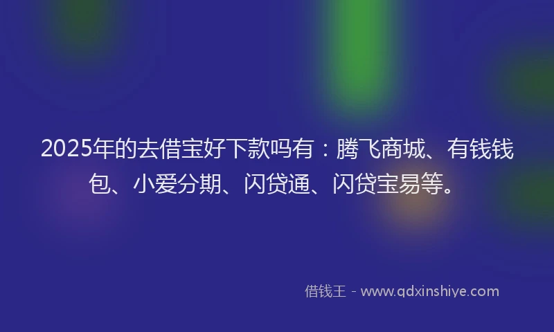 2025年的去借宝好下款吗有：腾飞商城、有钱钱包、小爱分期、闪贷通、闪贷宝易等。