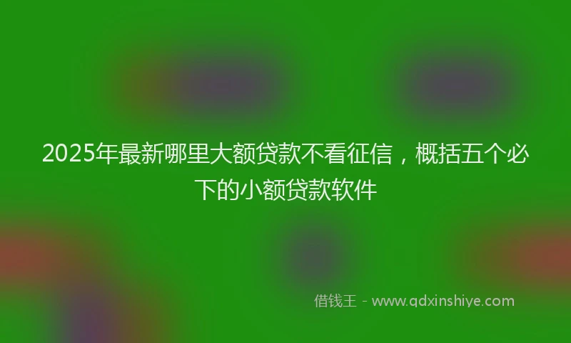 2025年最新哪里大额贷款不看征信，概括五个必下的小额贷款软件