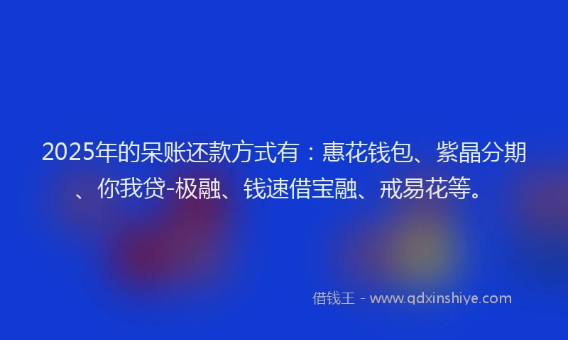 2025年的呆账还款方式有：惠花钱包、紫晶分期、你我贷-极融、钱速借宝融、戒易花等。