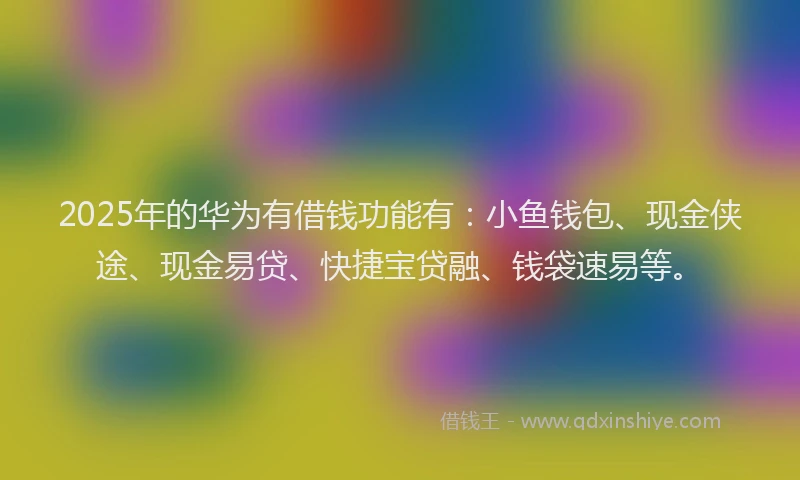 2025年的华为有借钱功能有：小鱼钱包、现金侠途、现金易贷、快捷宝贷融、钱袋速易等。
