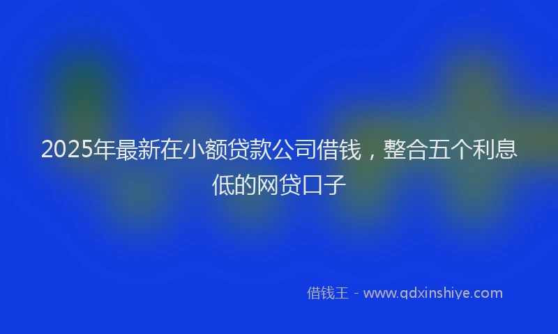 2025年最新在小额贷款公司借钱，整合五个利息低的网贷口子