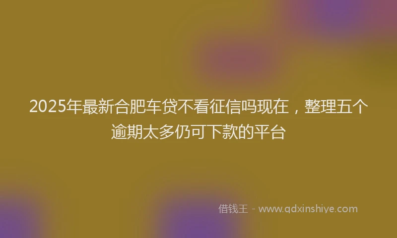 2025年最新合肥车贷不看征信吗现在，整理五个逾期太多仍可下款的平台