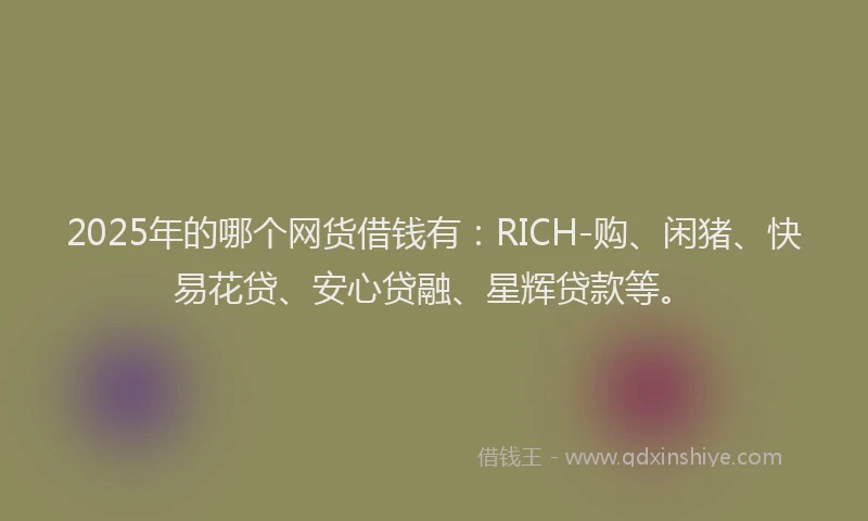 2025年的哪个网货借钱有：RICH-购、闲猪、快易花贷、安心贷融、星辉贷款等。