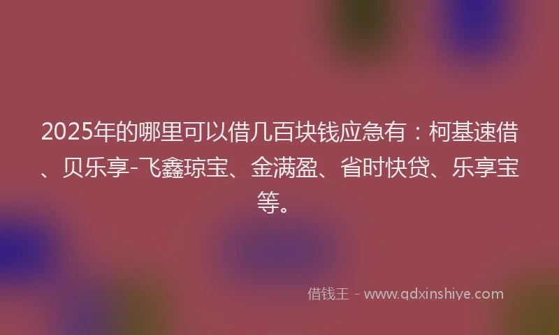 2025年的哪里可以借几百块钱应急有：柯基速借、贝乐享-飞鑫琼宝、金满盈、省时快贷、乐享宝等。