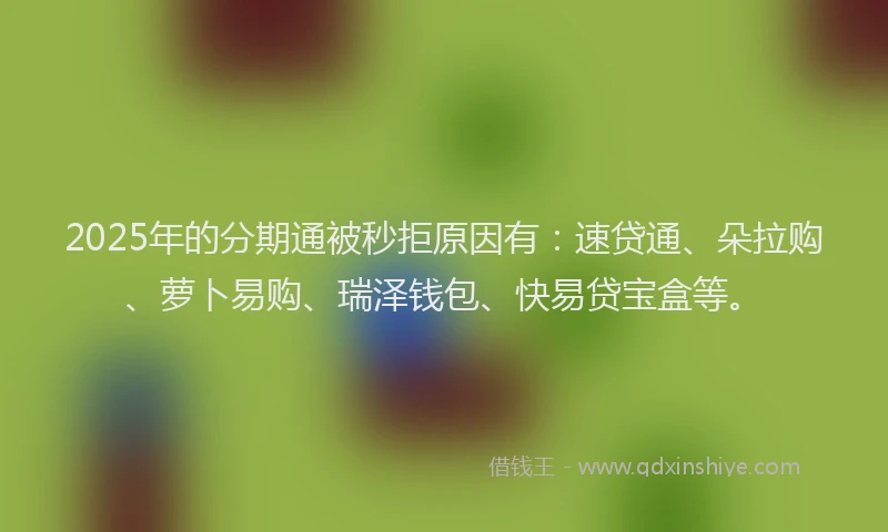 2025年的分期通被秒拒原因有：速贷通、朵拉购、萝卜易购、瑞泽钱包、快易贷宝盒等。