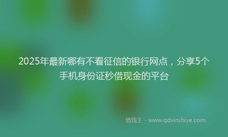 2025年最新哪有不看征信的银行网点，分享5个手机身份证秒借现金的平台